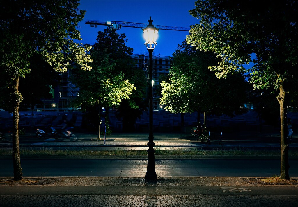 Tiergarten Berlin at Night. Street lamp with Trees lit by Street Lights