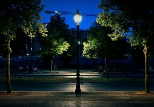 Trees and street lamp in Berlin, Tiergarten 2020